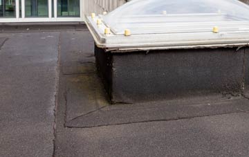 disadvantages of Higher Ansty flat roofs
