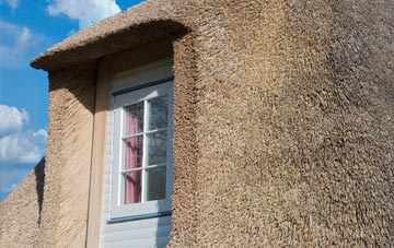 Higher Ansty thatch roof disadvantages