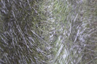 Higher Ansty fibreglass roof work